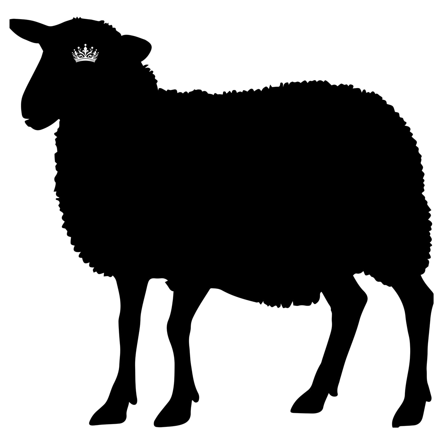 Black sheep with crown eye