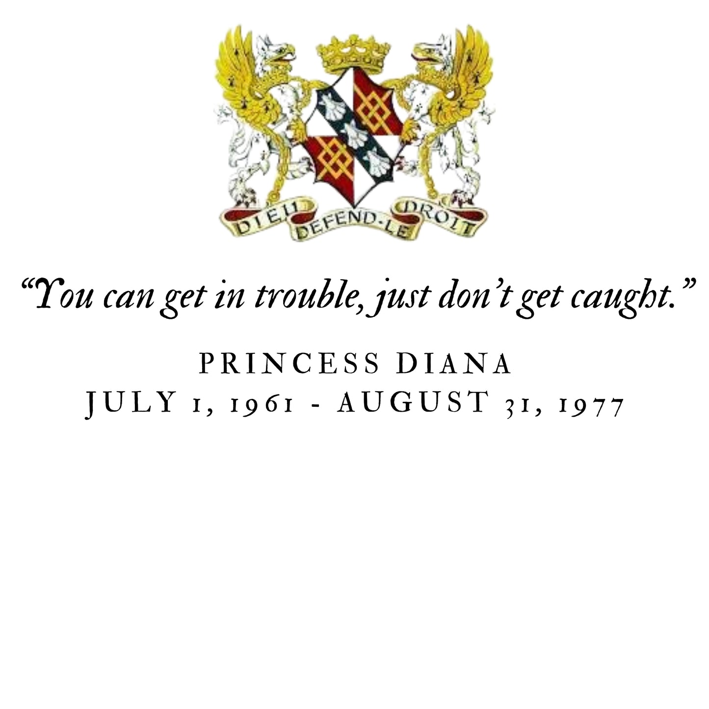 back t-shirt artwork - quote - You can get in trouble, just don't get caught.