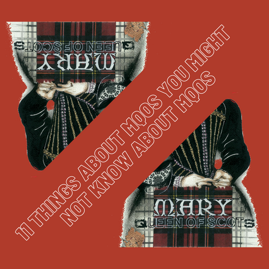 11 Things You Might Not Know About Mary, Queen of Scots